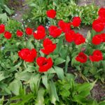 Spływ – 08.03.2026