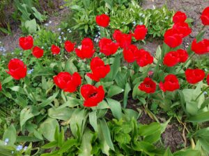 Read more about the article Spływ – 08.03.2026